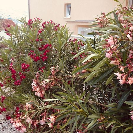 House Agradable Apartment Seget Vranjica Exterior photo