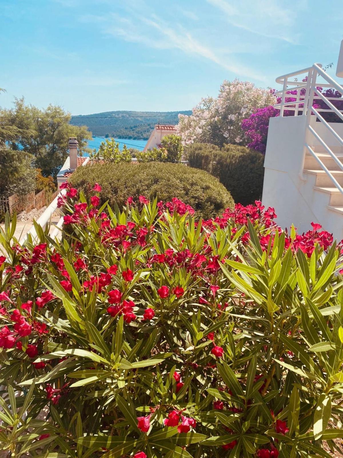 House Agradable Apartment Seget Vranjica Exterior photo